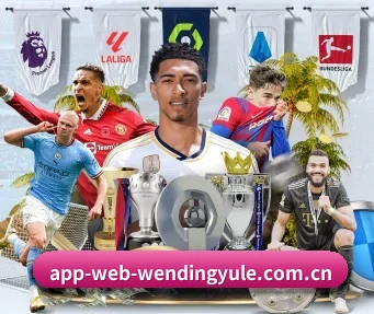 m.app-web-wendingyule.com.cn APP